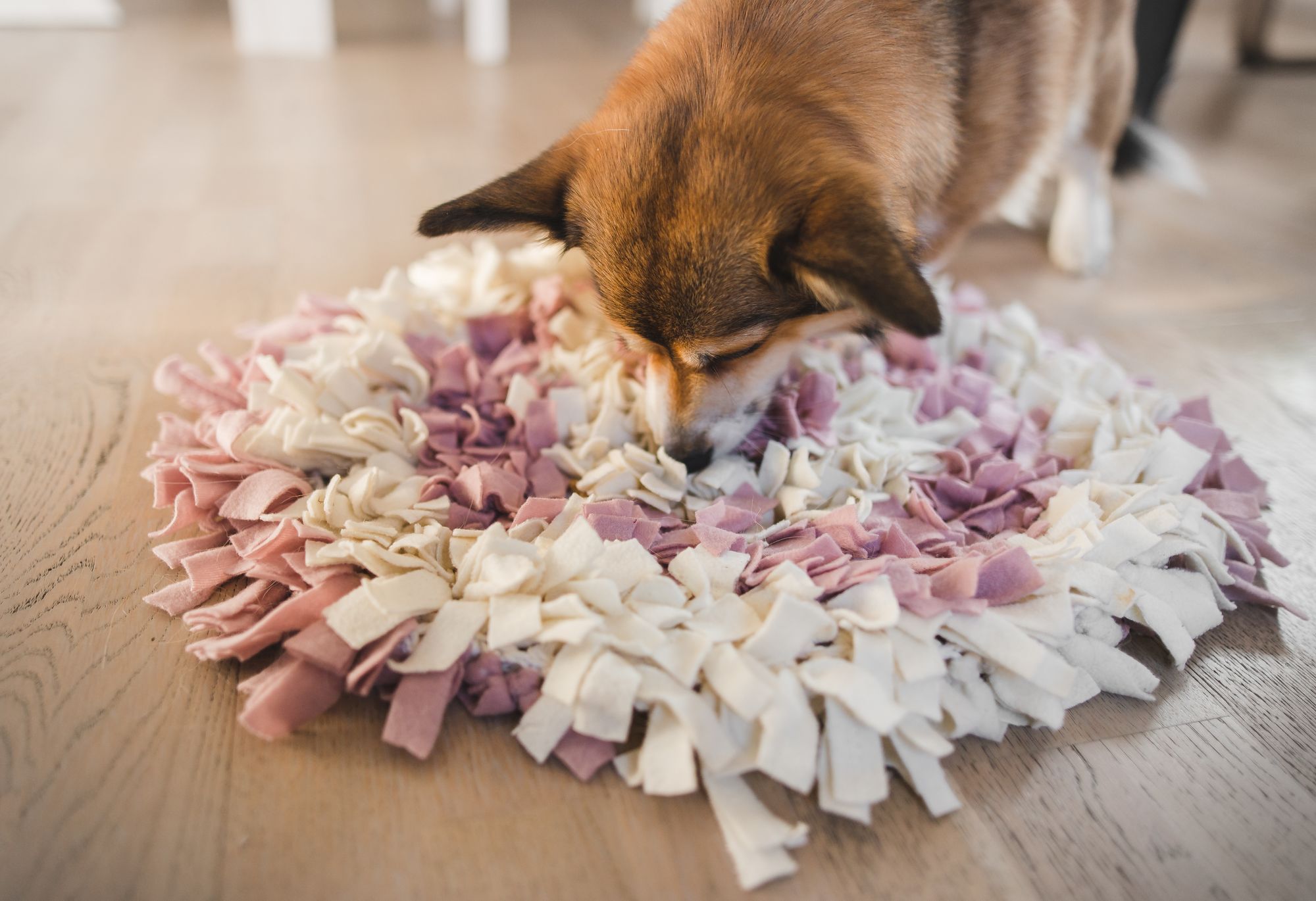 Puppy Playing with Snuffle Mat