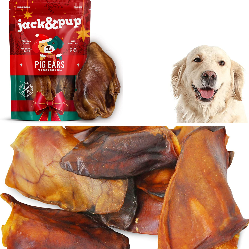 Can Dogs Eat Pig Ears Image