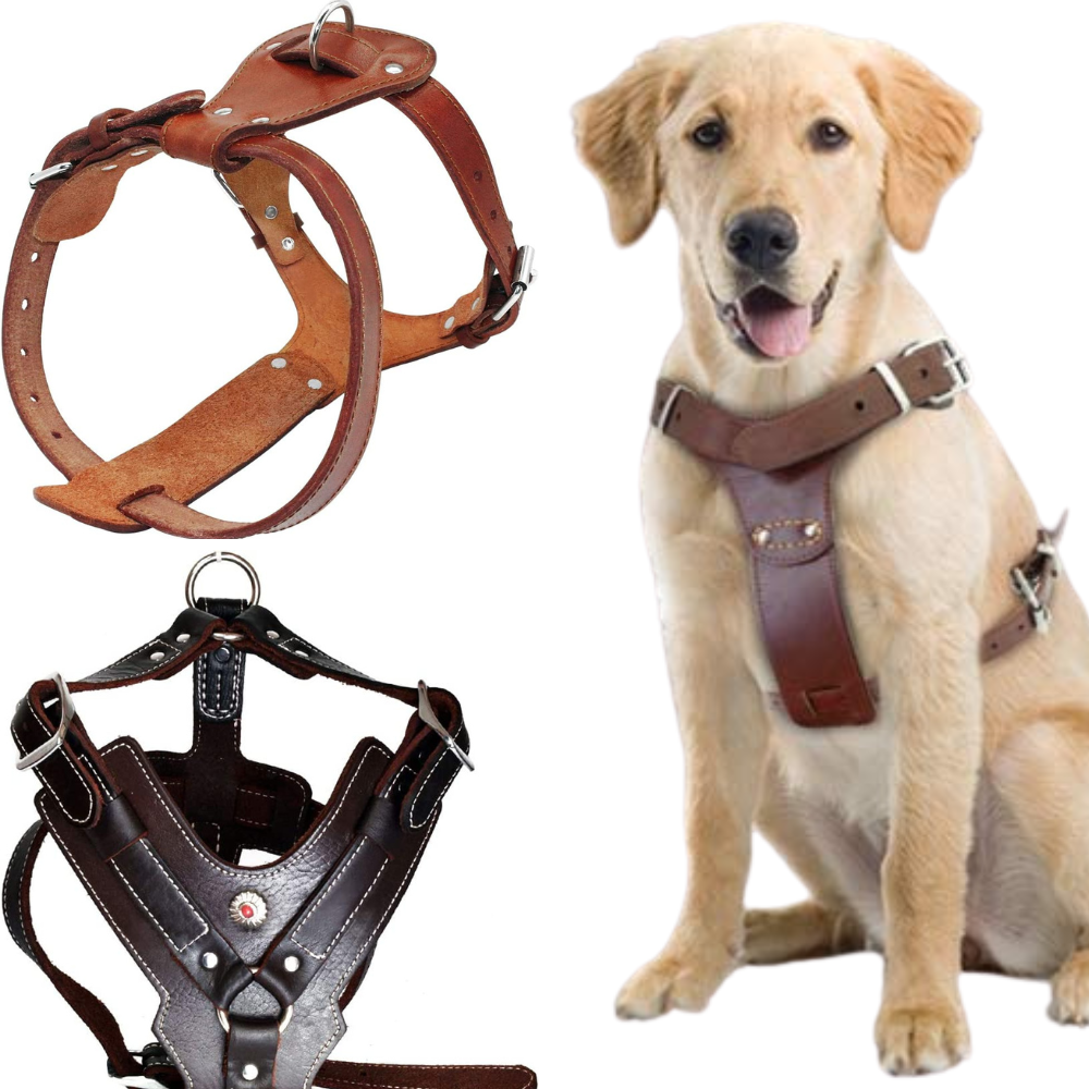 Leather Dog Harness Image