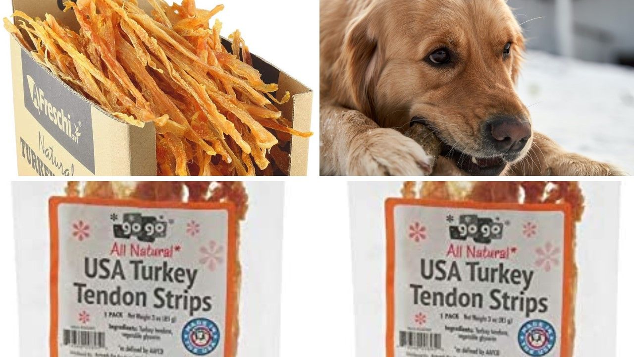 Turkey Tendon for Dogs Image