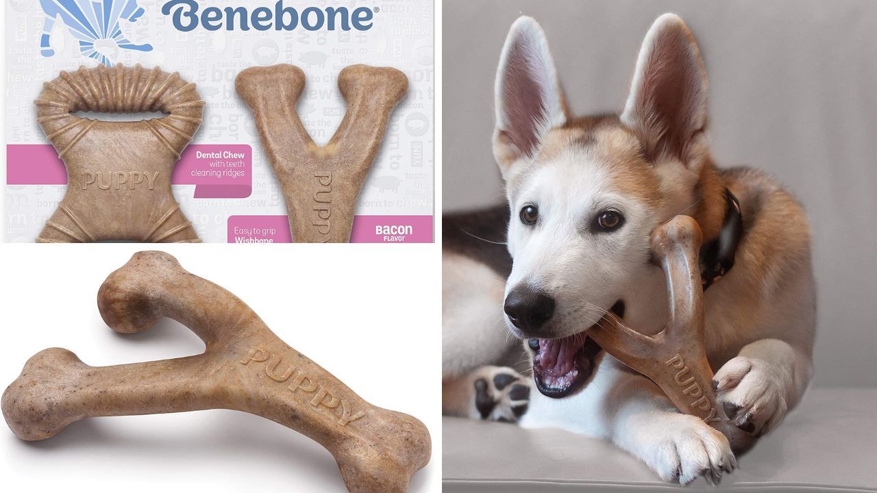 Benebone Puppy Dog Chew Image
