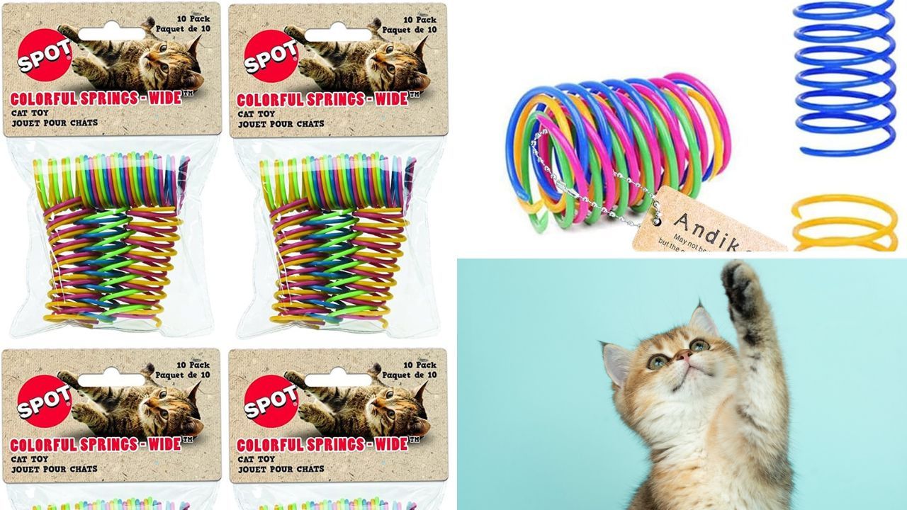 Cat Spring Toys Image