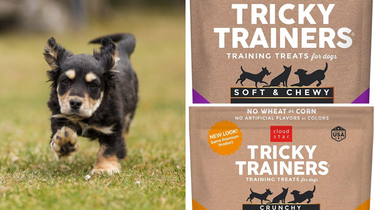 Cloud Star Tricky Trainers Dog Treats Image