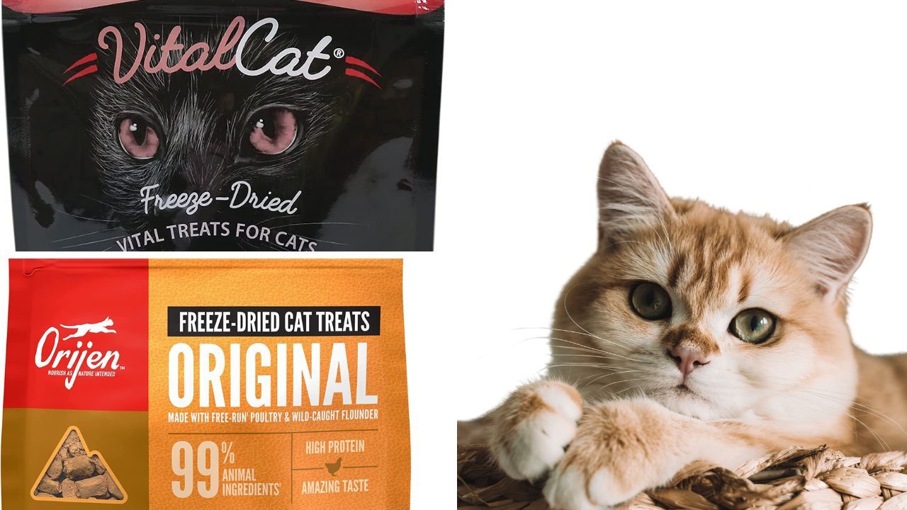 Freeze Dried Cat Treats Image