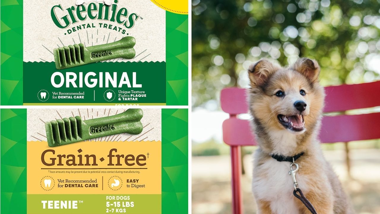 Greenies Dog Dental Chew Treats Image