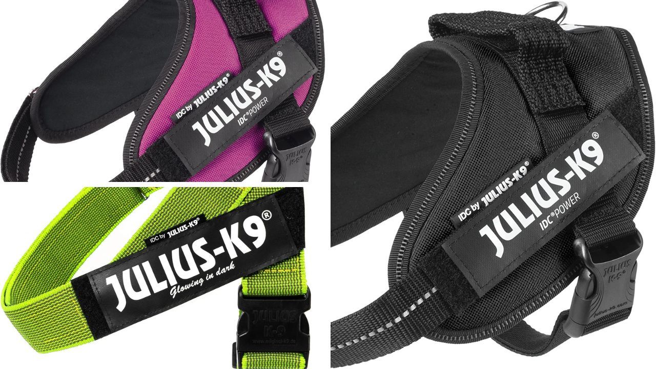 Julius-K9 Dog Harness Image