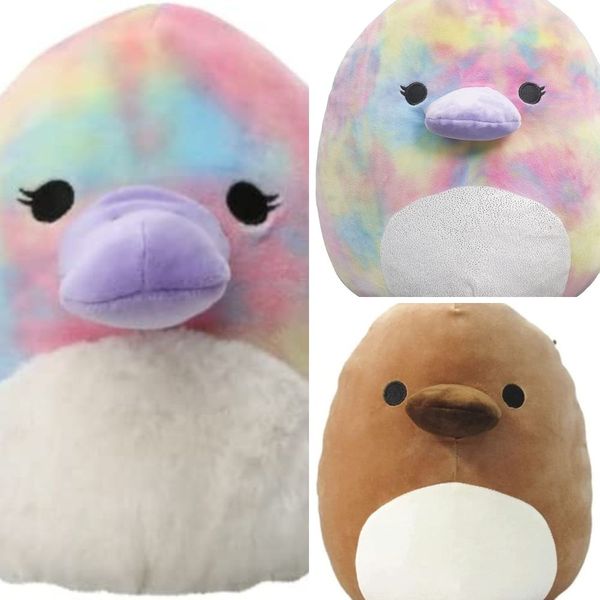These Are The Must Have Platypus Squishmallows on Amazon!