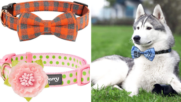 Pamper Your Pup! Check Out the 5 Cutest Bow Tie Dog Collars