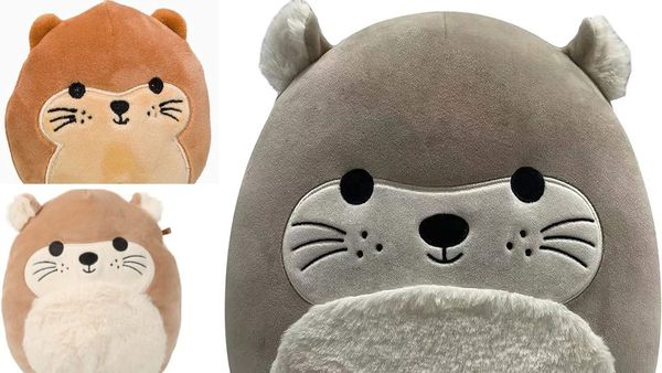 The Otterly Adorable Top 3 Squishmallows on Amazon!