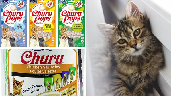 Meow-velous Munchies: The Best Churu Cat Treats on Amazon