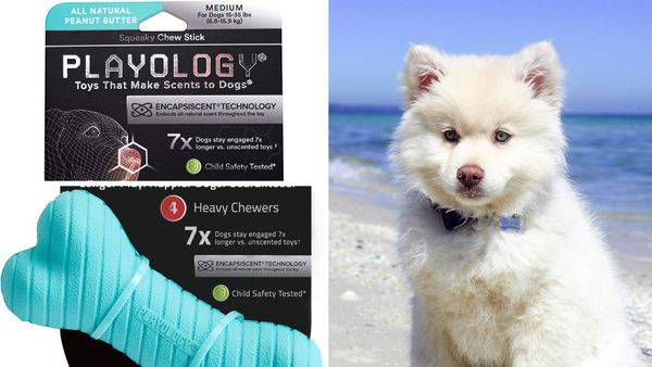 Unleash The Fun: Top 6 Playology Dog Toys on Amazon!
